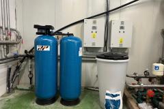 Torocko-sajt_Coltesti-3